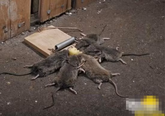 "Có sướng cùng hưởng, có họa cùng chịu"