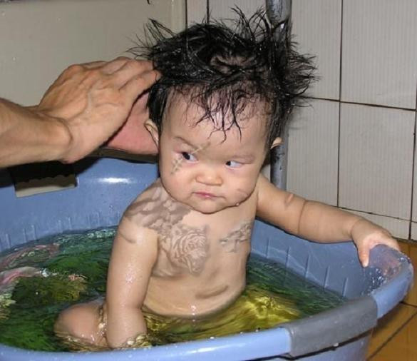 "Hổ báo trường mẫu giáo" "Hổ báo trường mẫu giáo"