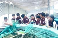 Để đào tạo nghề trong trường phổ thông cần giải bài toán cơ sở vật chất và đội ngũ GV