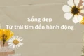 Sống đẹp - Từ trái tim đến hành động