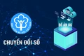 Kết quả triển khai Đề án 06 của Bảo hiểm xã hội Việt Nam tính đến tháng 9/2024
