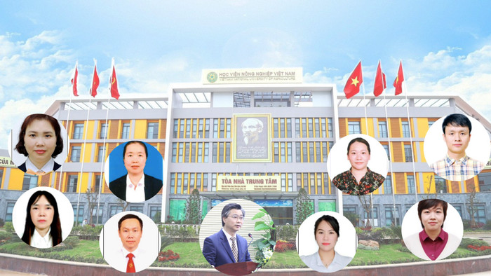 thiet-ke-chua-co-ten.png