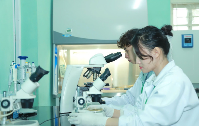Ảnh minh hoạ: NTCC Ảnh minh hoạ: NTCC