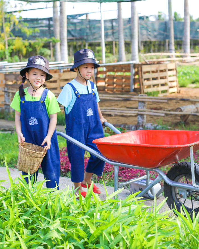 Khu Sinh thái Giáo dục VECO là điểm đến lý tưởng cho học sinh tham gia trải nghiệm những hoạt động bổ ích. Ảnh: veco.edu.vn 458d36b7-8831-4ea3-9f23-d40af768526c.png