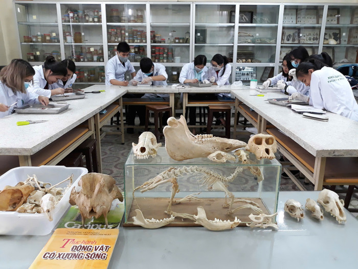Một giờ thực hành động vật của sinh viên Khoa Sinh học - Trường Đại học Sư phạm Hà Nội. Ảnh: NVCC sinh-hoc.png