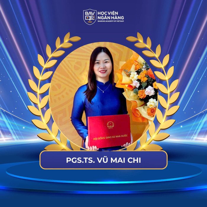 Phó giáo sư, Tiến sĩ Vũ Mai Chi hiện là Phó trưởng Bộ môn Tiền tệ - Ngân hàng, Khoa Ngân hàng, Học viện Ngân hàng.
