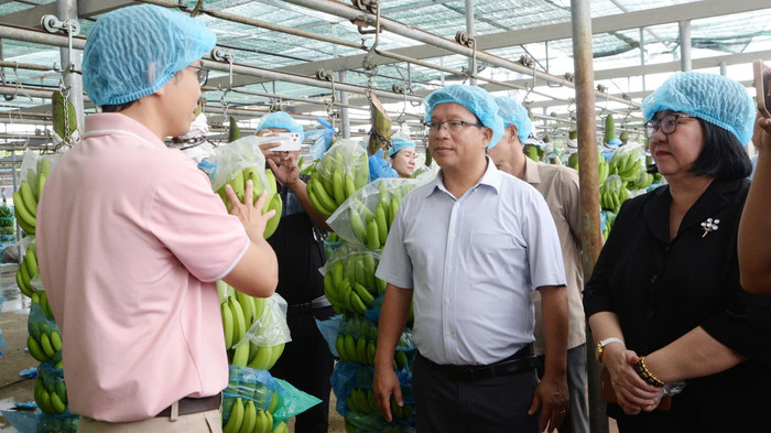 Hiện nay, doanh nghiệp đang tìm kiếm những kỹ sư, chuyên gia và nhà quản lý có kiến thức chuyên sâu về công nghệ sinh học, công nghệ thực phẩm z6930227355501-fced59111bf60ea494445ce20bfea222.jpg