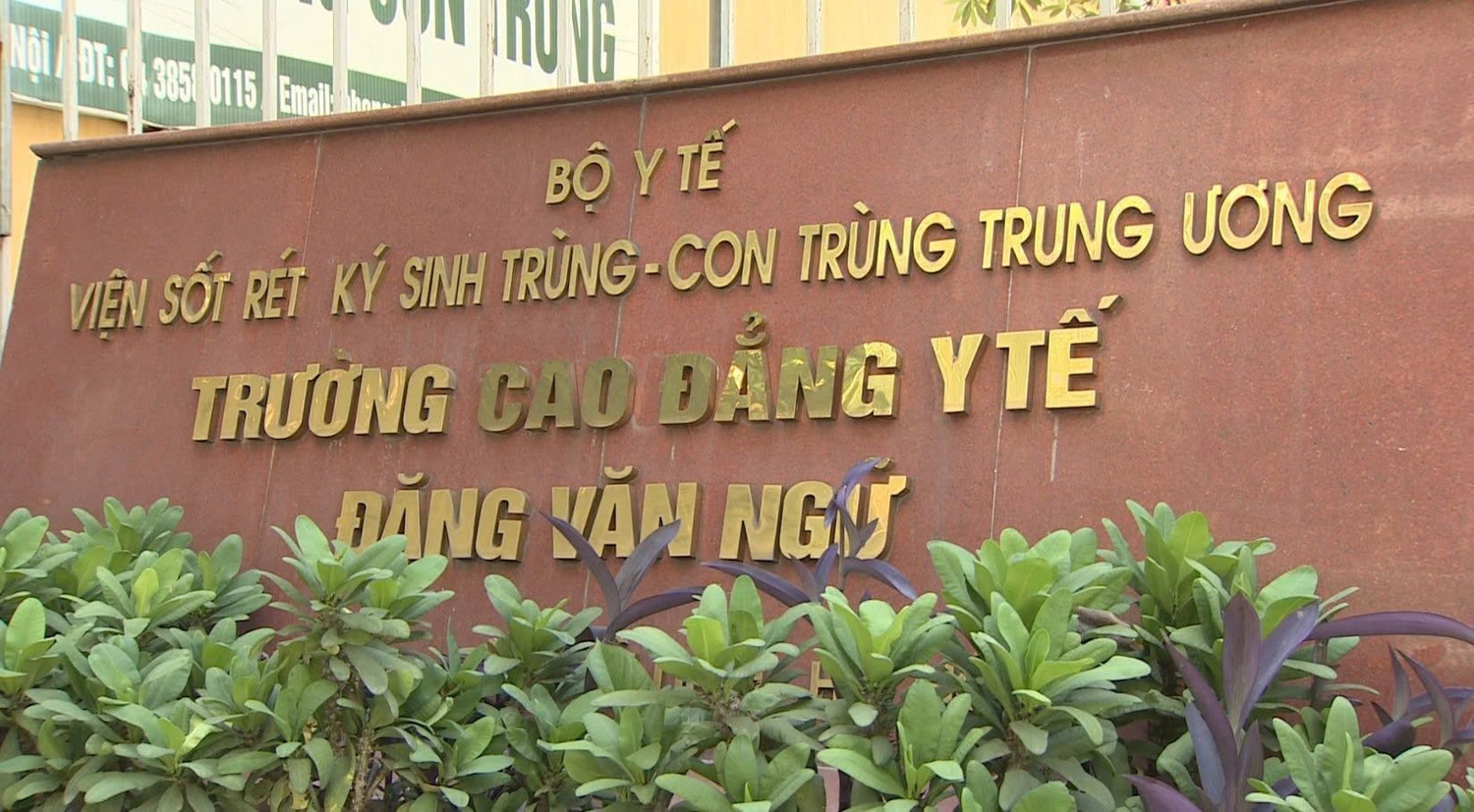 cong-truong-dvn.jpg