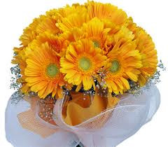 Người xưa coi hoa cúc là biểu trưng cho sự trường thọ, rất phù hợp để tặng mẹ. Người xưa coi hoa cúc là biểu trưng cho sự trường thọ, rất phù hợp để tặng mẹ.