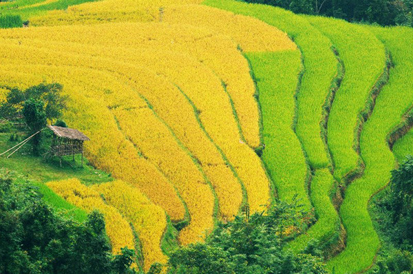 Dù không phải 'phượt thủ' thì khi ngắm nhìn những bức ảnh này, hẳn rất nhiều người đã muốn xách ba lô lên và đi. Dù không phải 'phượt thủ' thì khi ngắm nhìn những bức ảnh này, hẳn rất nhiều người đã muốn xách ba lô lên và đi.