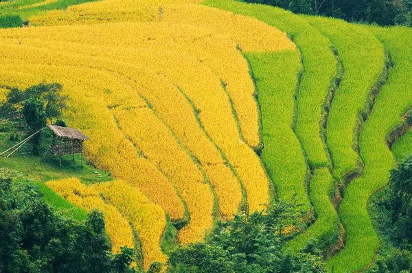 Dù không phải 'phượt thủ' thì khi ngắm nhìn những bức ảnh này, hẳn rất nhiều người đã muốn xách ba lô lên và đi.