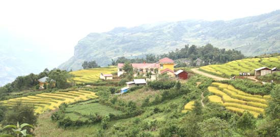 Địa điểm dân phượt thường đến để săn ảnh mùa thu hoạch là các tỉnh miền núi Tây Bắc. Địa điểm dân phượt thường đến để săn ảnh mùa thu hoạch là các tỉnh miền núi Tây Bắc.