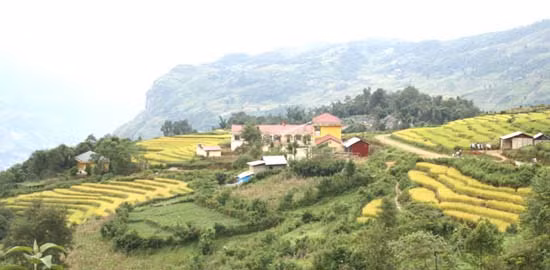 Địa điểm dân phượt thường đến để săn ảnh mùa thu hoạch là các tỉnh miền núi Tây Bắc.