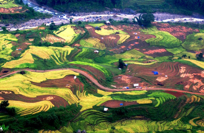 Bức tranh độc đáo của vùng Tây Bắc Bức tranh độc đáo của vùng Tây Bắc