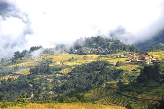 Từ cuối tháng 9, trên các diễn đàn dành cho dân phượt đã xôn xao những thông tin về mùa lúa chín ở vùng cao. Từ cuối tháng 9, trên các diễn đàn dành cho dân phượt đã xôn xao những thông tin về mùa lúa chín ở vùng cao.