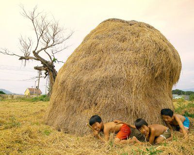 Trốn tìm, trò chơi quen thuộc của rất nhiều cư dân 8X. Trốn tìm, trò chơi quen thuộc của rất nhiều cư dân 8X.
