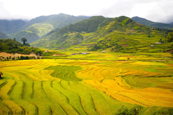 Những mảng màu xanh, vàng quyện lẫn tạo nên 1 bức tranh tuyệt đẹp. Những mảng màu xanh, vàng quyện lẫn tạo nên 1 bức tranh tuyệt đẹp.