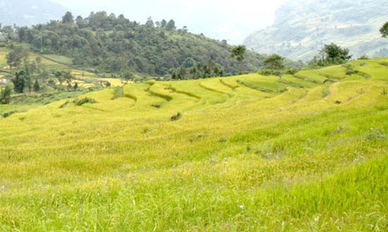 Sản phẩm của các 'phượt thủ' sau mỗi chuyến đi là những bức hình độc đáo về vẻ đẹp của địa danh họ tới. Sản phẩm của các 'phượt thủ' sau mỗi chuyến đi là những bức hình độc đáo về vẻ đẹp của địa danh họ tới.