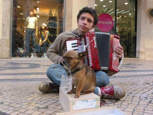 Bức ảnh đã được đông đảo cư dân mạng truyền tay nhau để mang tới cho mọi người một thông điệp đầy ý nghĩa về con vật yêu quý này “ Chó là loài vật trung thành nhất. Con cái có thể chê bố mẹ nghèo nhưng chó không bao giờ chê chủ nghèo”.