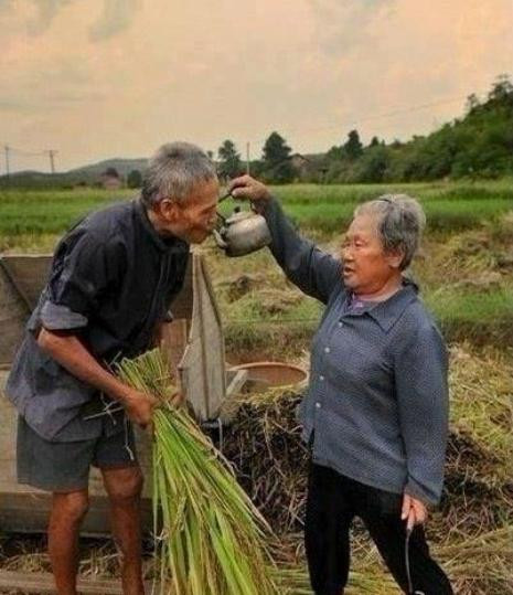 Bức tranh bình dị về hình ảnh của người nông dân. Đó là nét đẹp tâm hồn của người Việt . Hình ảnh được đăng tải ngày 26/12 nhanh chóng nhận được 20.237 người thích và hơn 600 lượt bình luận của độc giả.