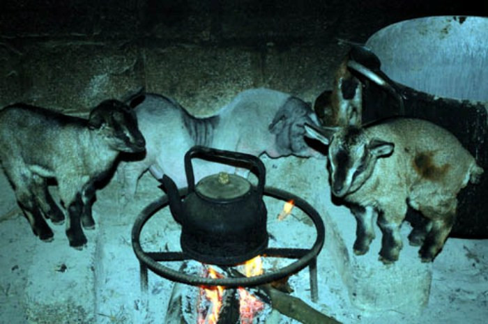 ... xóa tan lạnh cóng. ... xóa tan lạnh cóng.