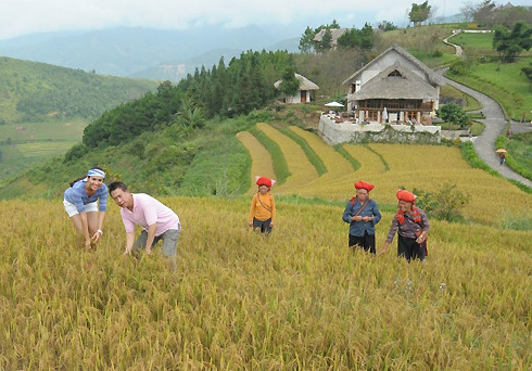 Hà Nội, Bắc Hà, Sapa là những chặng cuối trong đợt một hành trình khám phá văn hóa Việt Nam của người đẹp Hoàng My và "vua đầu bếp" Yan Can Cook. Những ngày ở Sapa để lại trong bếp trưởng nổi tiếng và Á hậu Hoàng My cảm xúc khó quên. Cả hai cùng người nông dân vùng cao ra ruộng gặt lúa.(Theo VnE)
