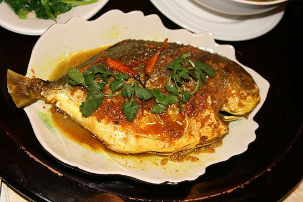 4. Cá, tôm, cua Nếu ăn cá, tôm, cua khi đang bị ho thì sẽ khiến bệnh càng nặng hơn. Nguyên nhân bởi hệ hô hấp dễ bị kích thích do vị tanh của cá.