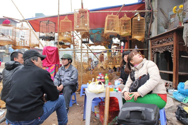 Phiên chợ thu hút đông người chơi chim đến để trao đổi kinh nghiệm và đánh giá về những chú chim chiến chuẩn bị cho những mùa giải sắp tới.