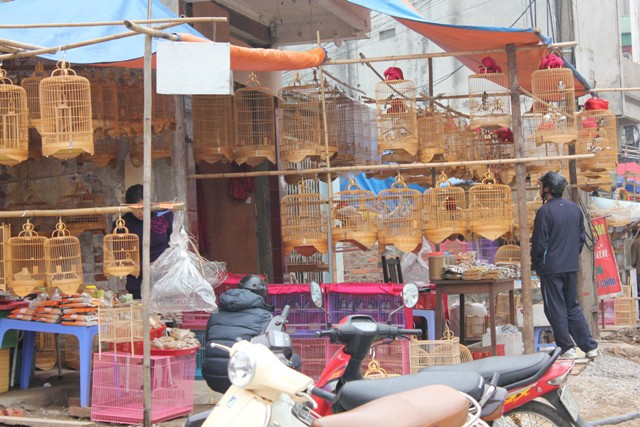 Một góc chợ chim Một góc chợ chim