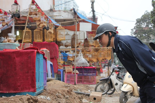 Chọn cho mình những con chim giống