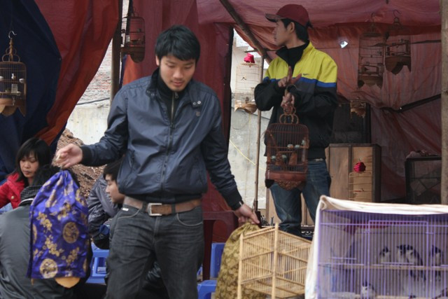 Rất đông tay chơi chim nổi tiếng Hà Thành cũng có mặt và tâu thêm những chú chim mới