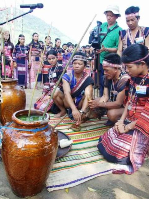 Cắt cổ gà lấy máu pha với rượu, bôi lên đầu và tay mừng một vụ mùa bội thu, cầu mong mưa thuận gió hoà cho vụ mùa mới- một phong tục của đồng bào Bana ở Vĩnh An Cắt cổ gà lấy máu pha với rượu, bôi lên đầu và tay mừng một vụ mùa bội thu, cầu mong mưa thuận gió hoà cho vụ mùa mới- một phong tục của đồng bào Bana ở Vĩnh An