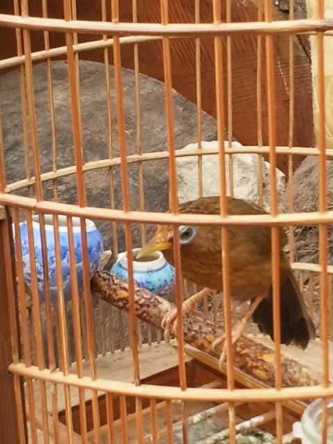 Đánh trực diện Đánh trực diện