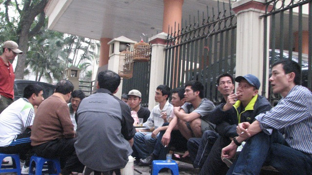 Những người có thú chơi mi đất Hà Thành thường đưa mi đi giao lưu vào cuối tuần