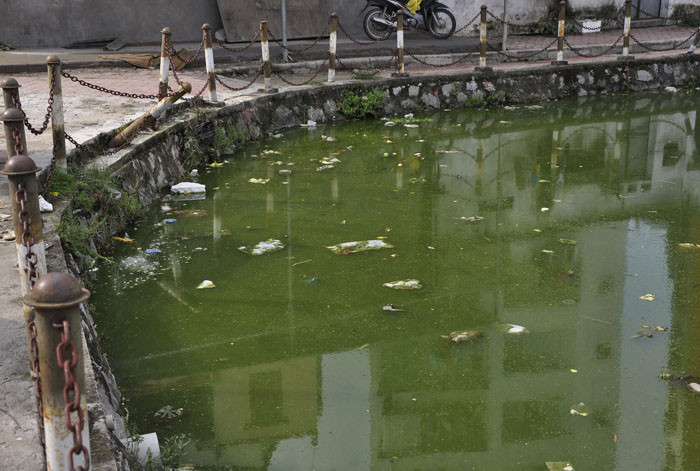 Nguồn nước xanh ngàu và sủi tăm. Nguồn nước xanh ngàu và sủi tăm.