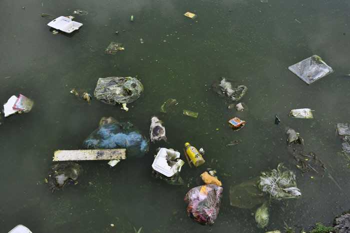 Xác động vật chết, hộp xốp, túi nilon… tạo lên mùi hôi thối nồng nặc mà ai đi qua đây cũng cảm nhận được. Xác động vật chết, hộp xốp, túi nilon… tạo lên mùi hôi thối nồng nặc mà ai đi qua đây cũng cảm nhận được.