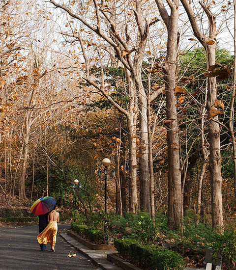 Bạch Dinh - Vũng Tàu Bạch Dinh - Vũng Tàu