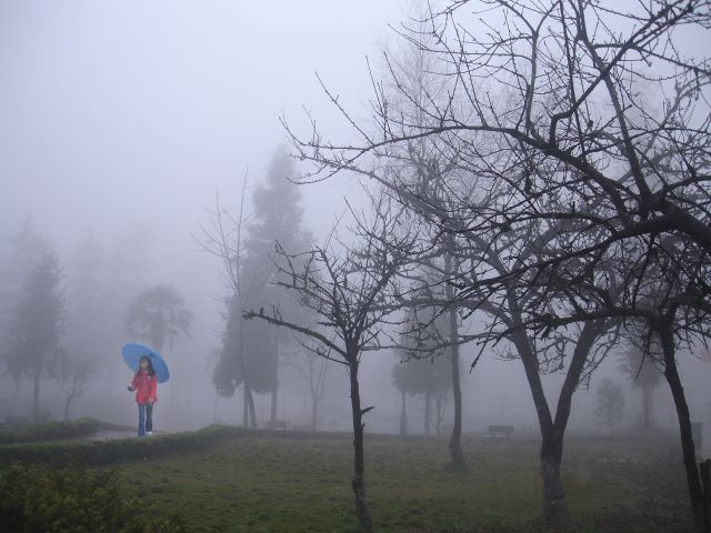 ảnh minh họa (nguồn Internet)