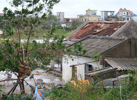 Cảnh tượng hoang tàn khắp nơi.