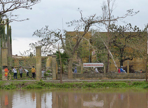 Cây cối xơ xác, lá rụng sau cơn bão.