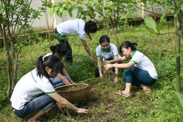 Các bạn còn tham gia dọn vệ sinh, nhặt cỏ xung quanh trung tâm. Các bạn còn tham gia dọn vệ sinh, nhặt cỏ xung quanh trung tâm.