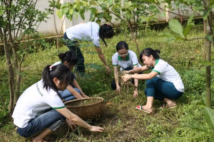 Các bạn còn tham gia dọn vệ sinh, nhặt cỏ xung quanh trung tâm.