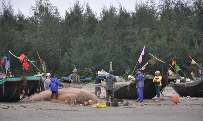 5h sáng, không khí tại làng chài đã trở lên nhộn nhịp