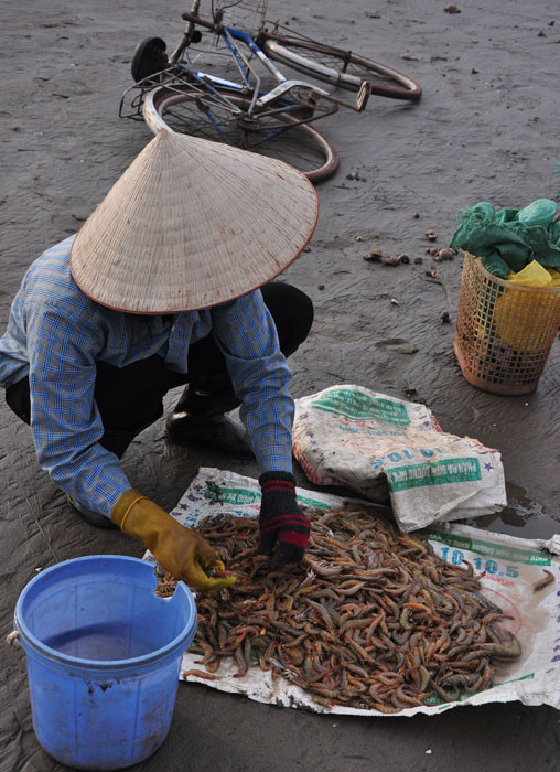 Thương mua cũng túc trực ngay khi thuyền cập bãi.