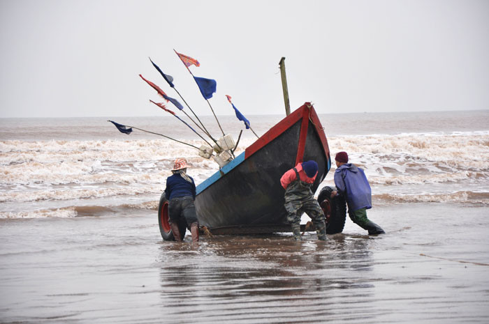 Nhiều bè cá đã cập bến sau một đêm lênh đênh đánh bắt trên biển