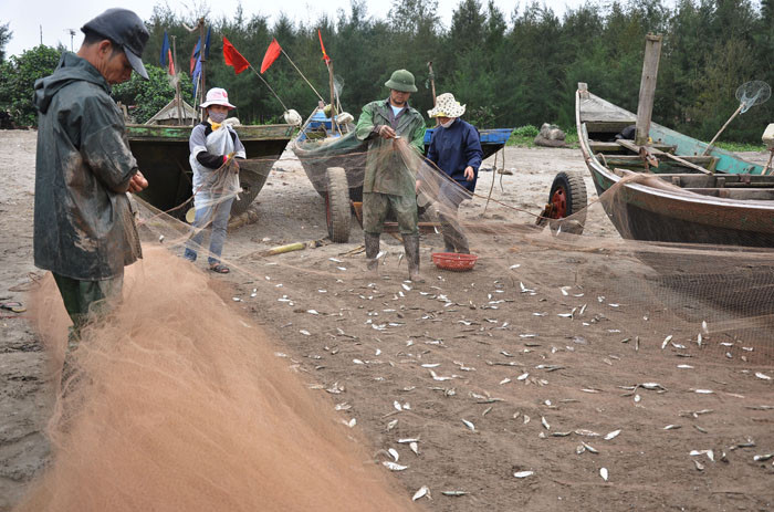 thu lưới lấy cá