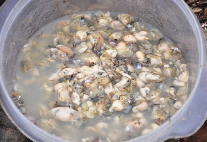 Bình quân một người có thể gè được 2 – 3kg hàu trong một ngày với giá 50.000 đồng/kg. Nhưng nhiều hôm do nước dâng về ban ngày nên họ không thể gè được. Những hôm không may mắn gặp hàu óp, con hàu nhỏ thì họ cũng chỉ đủ ăn. Bình quân một người có thể gè được 2 – 3kg hàu trong một ngày với giá 50.000 đồng/kg. Nhưng nhiều hôm do nước dâng về ban ngày nên họ không thể gè được. Những hôm không may mắn gặp hàu óp, con hàu nhỏ thì họ cũng chỉ đủ ăn.
