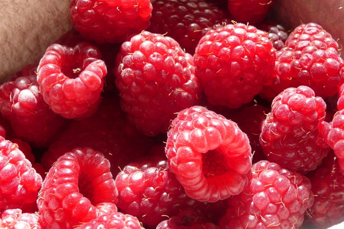 4. Mâm xôi: Hàm lượng chất xơ trong quả mâm xôi cao gấp hơn 3 lần so với các loại hoa quả khác cùng trọng lượng, nên chắc chắn nó có lợi cho sức khỏe tim mạch. Quả mâm xôi rất giàu canxi, magiê, phốt pho, natri và vitamin C nên có nhiều lợi ích cho sức khỏe. Đây cũng là nguồn phong phú axit folic, muối khoáng và carotene nên nó giúp kiểm soát bệnh tiểu đường. Quả mâm xôi còn giúp điều trị các rối loạn tiêu hóa, bao gồm cả tiêu chảy. 4. Mâm xôi: Hàm lượng chất xơ trong quả mâm xôi cao gấp hơn 3 lần so với các loại hoa quả khác cùng trọng lượng, nên chắc chắn nó có lợi cho sức khỏe tim mạch. Quả mâm xôi rất giàu canxi, magiê, phốt pho, natri và vitamin C nên có nhiều lợi ích cho sức khỏe. Đây cũng là nguồn phong phú axit folic, muối khoáng và carotene nên nó giúp kiểm soát bệnh tiểu đường. Quả mâm xôi còn giúp điều trị các rối loạn tiêu hóa, bao gồm cả tiêu chảy.