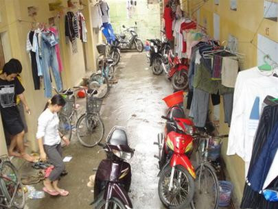 ảnh minh họa (nguồn Internet)