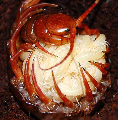 Khi đã lớn đến một mức độ nhất định...